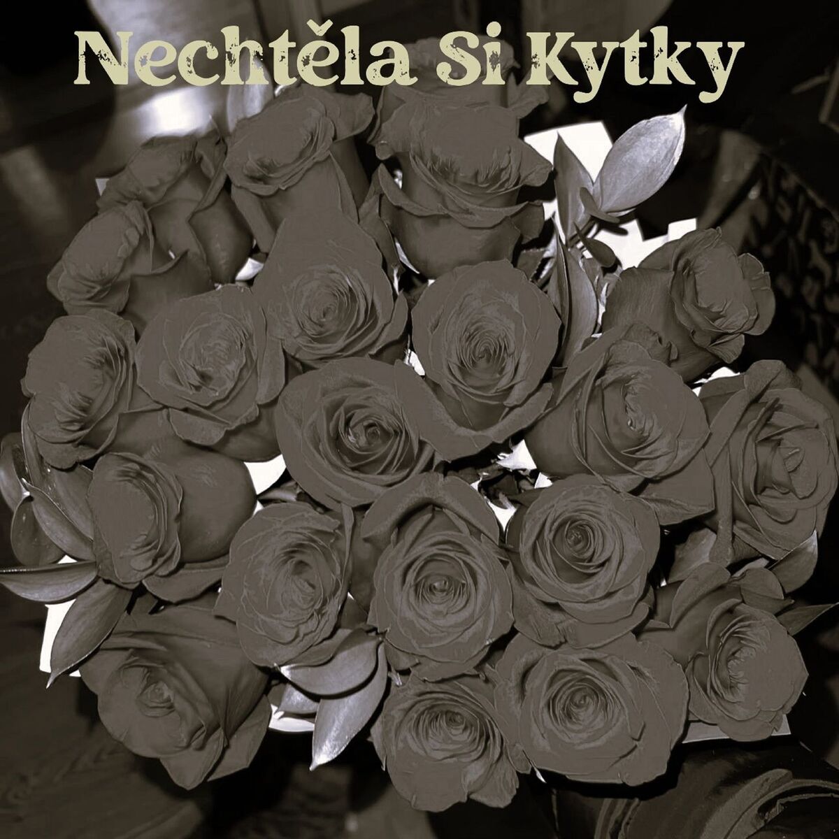 Album cover of Nechtěla Si Kytky