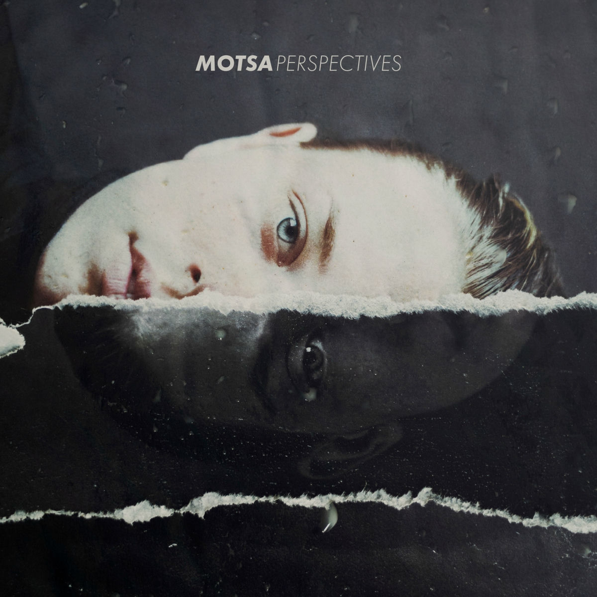Album cover of Perspectives
