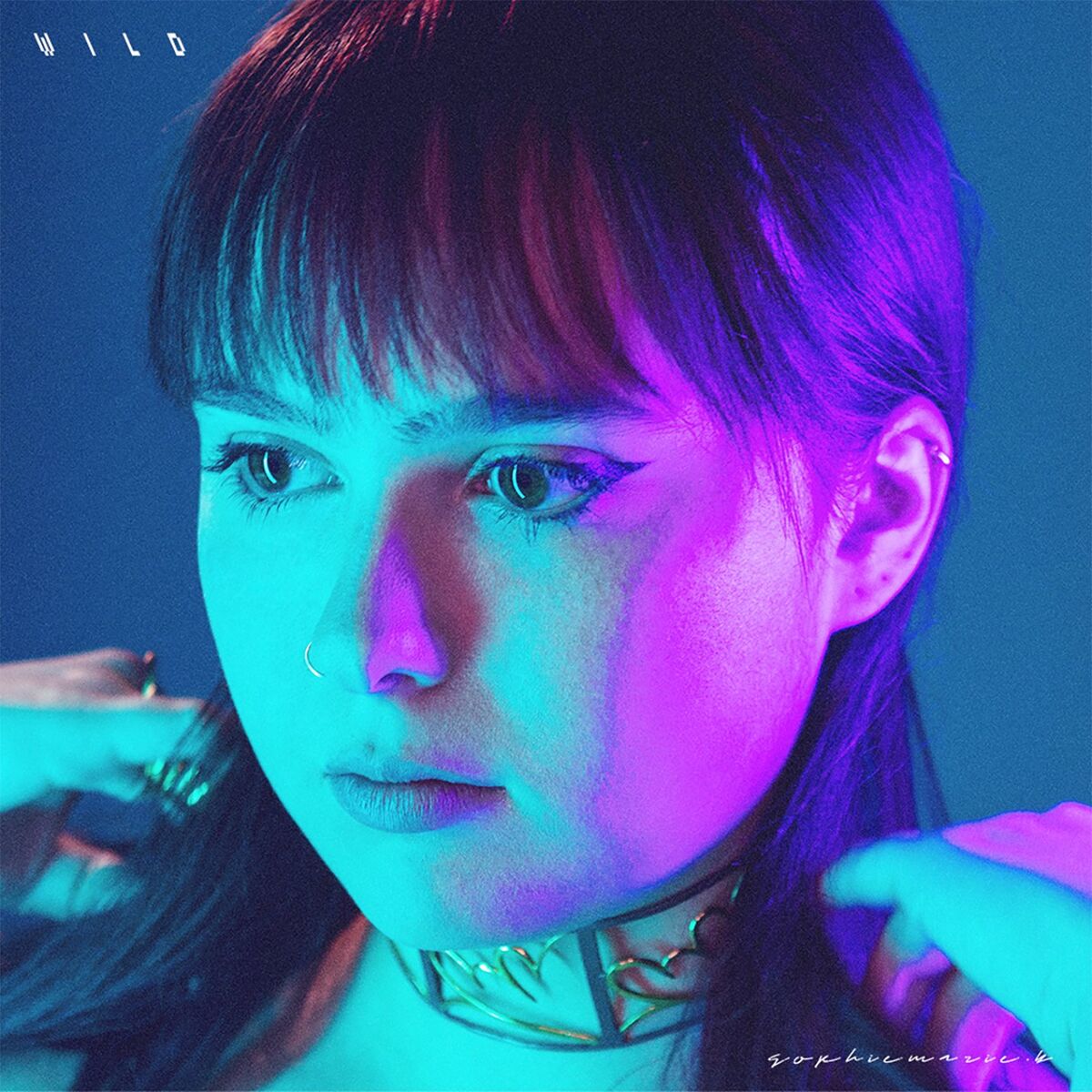 Album cover of Wild