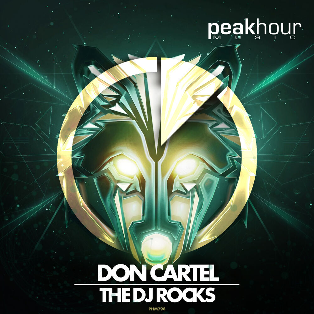 Picture of The DJ Rocks