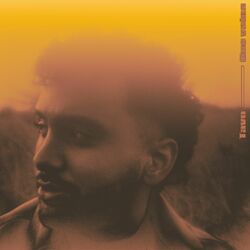Cover of Que vaina