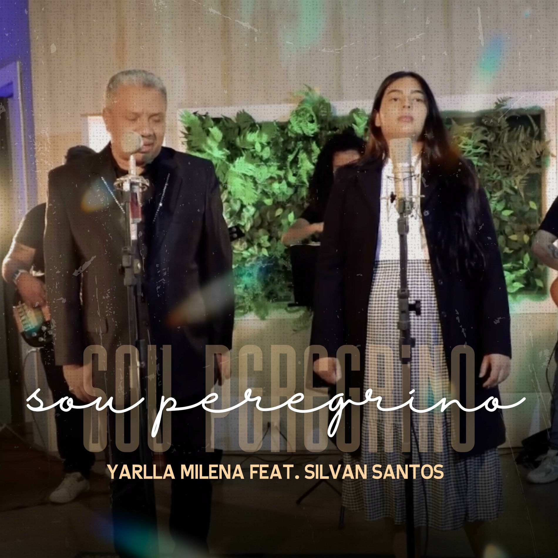 Album cover of Sou Peregrino