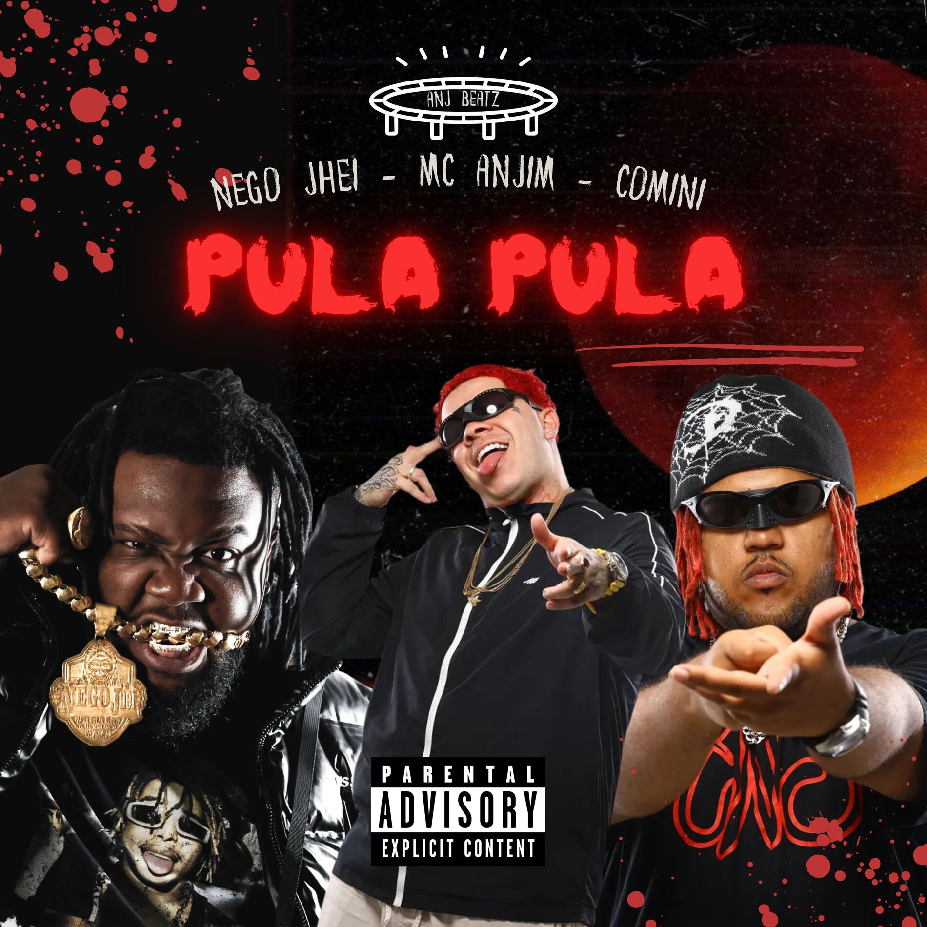 Album cover of Pula Pula