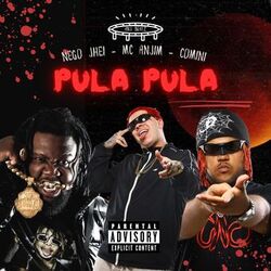 Pula Pula