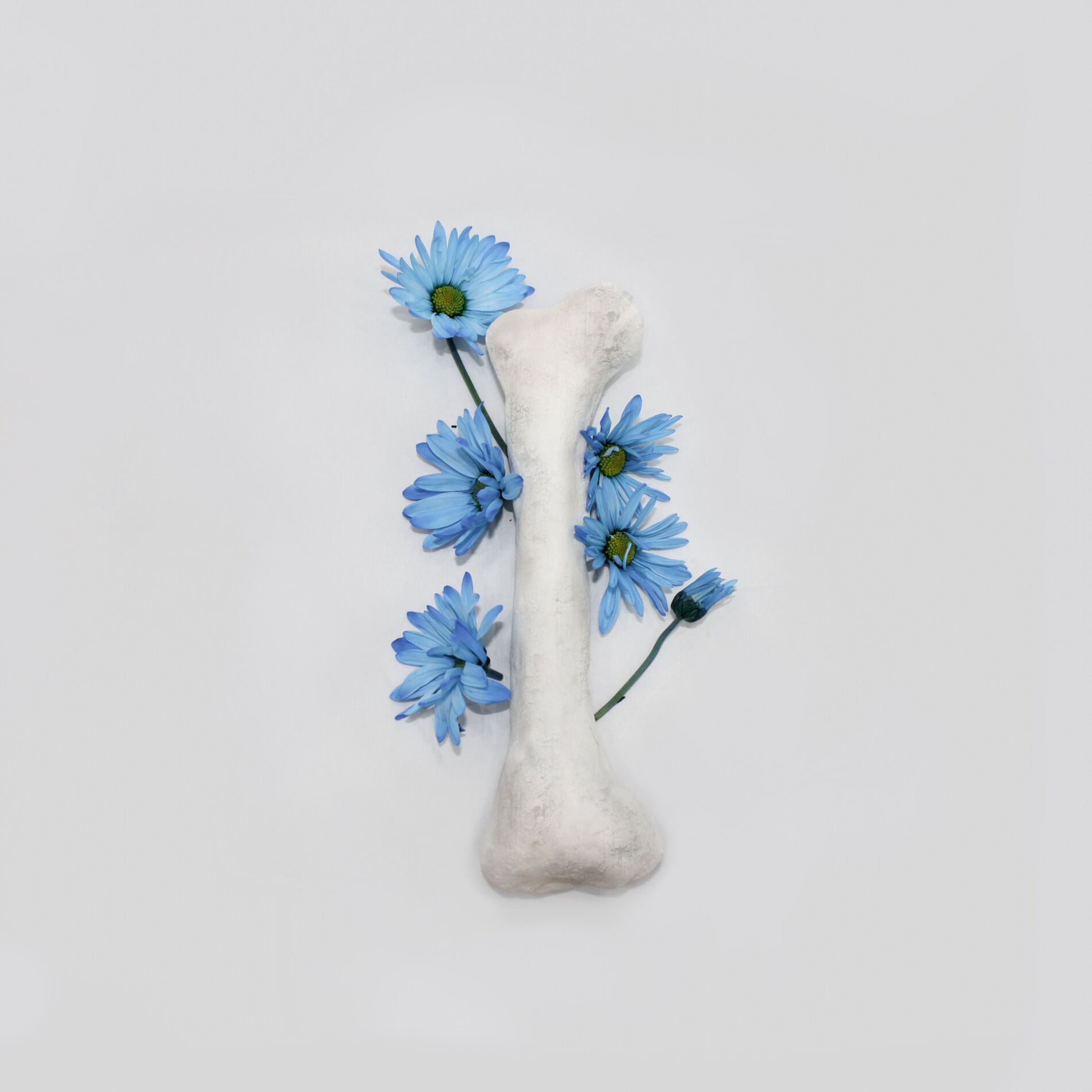Album cover of Flores