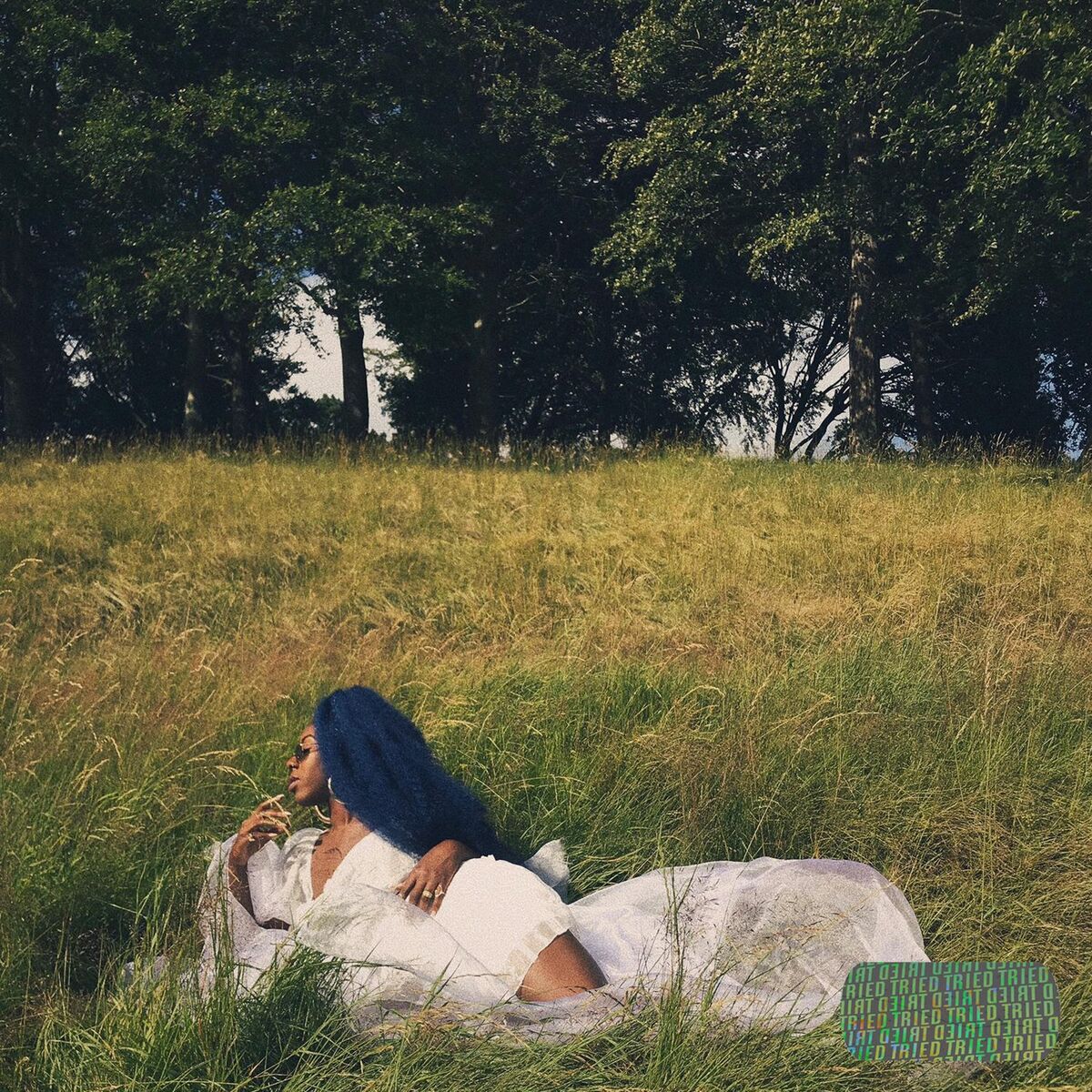 Album cover of Tried