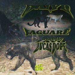 Cover of Jaguare