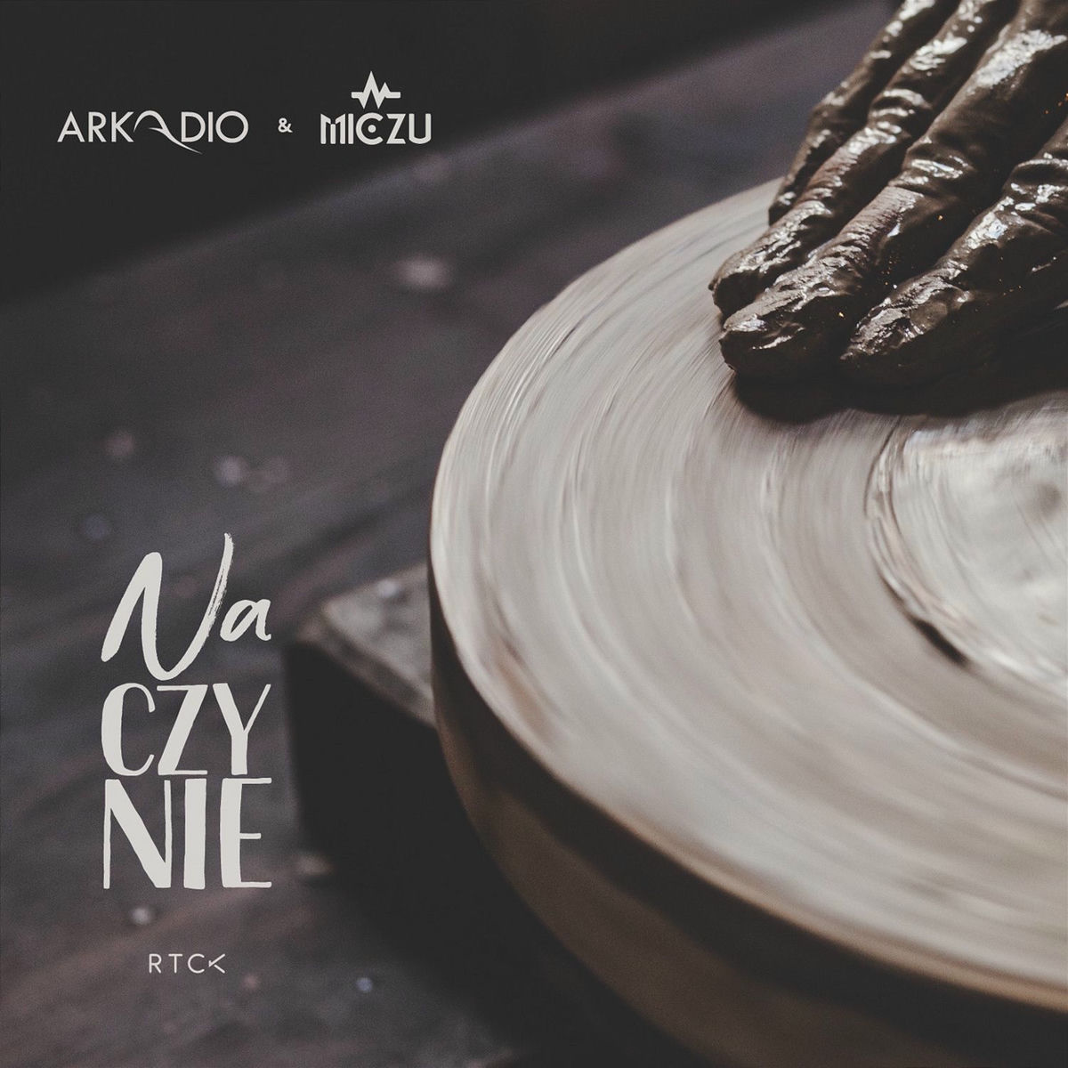 Album cover of NaCZYNIE