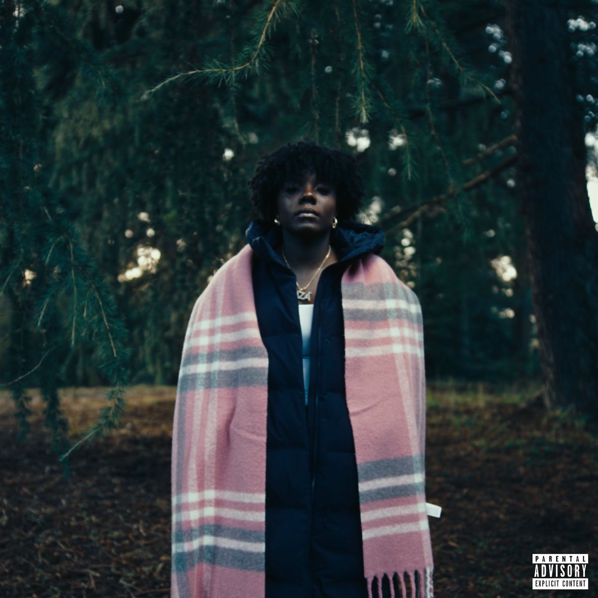Album cover of Tell the Difference