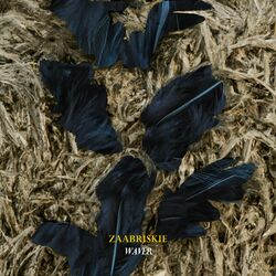 Cover of Waver