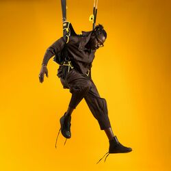 Cover of Falling Star