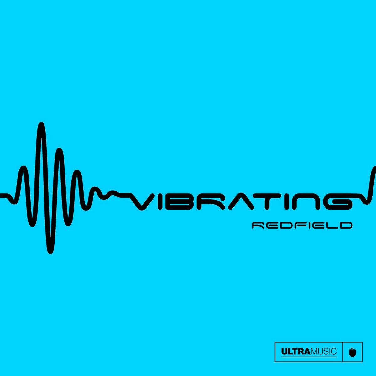 Album cover of Vibrating
