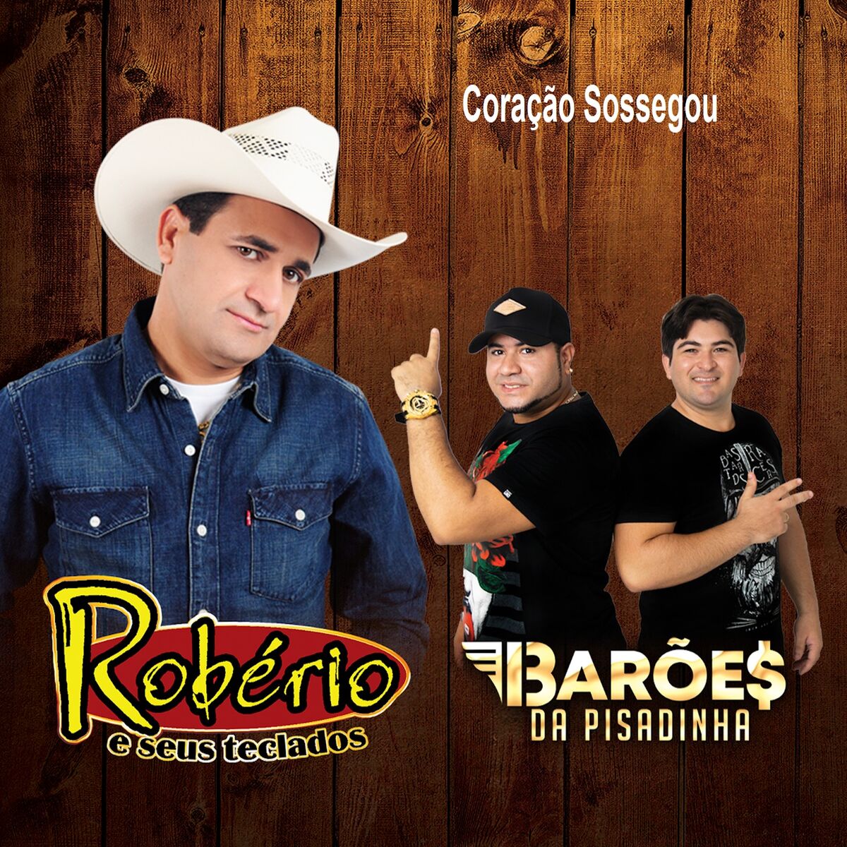 Album cover of Coração Sossegou