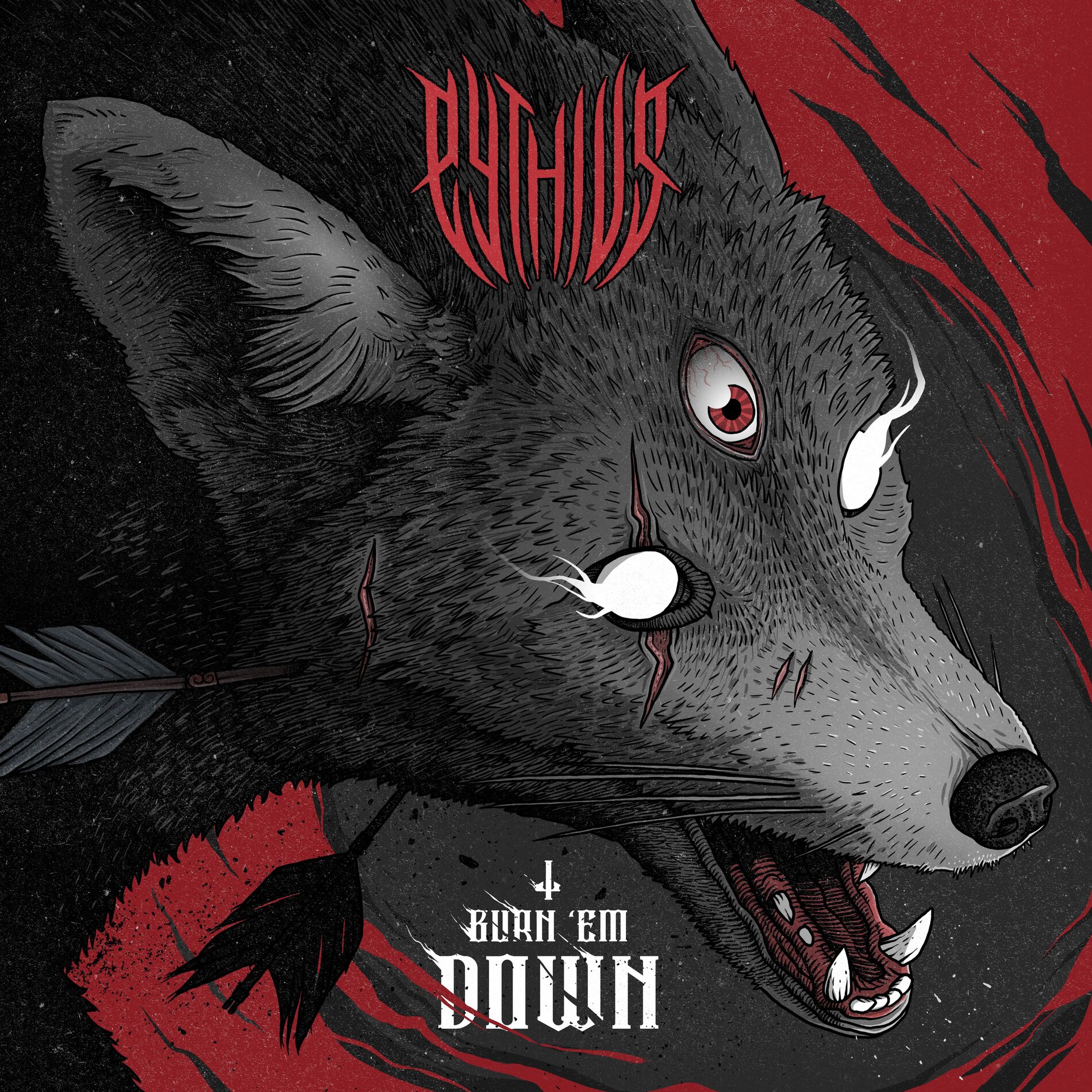 Album cover of Burn 'Em Down