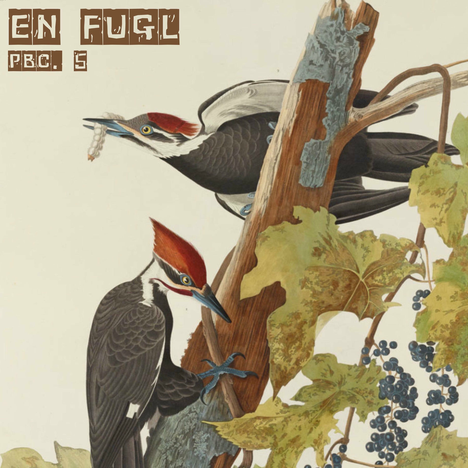 Album cover of En Fugl, PBC. 5