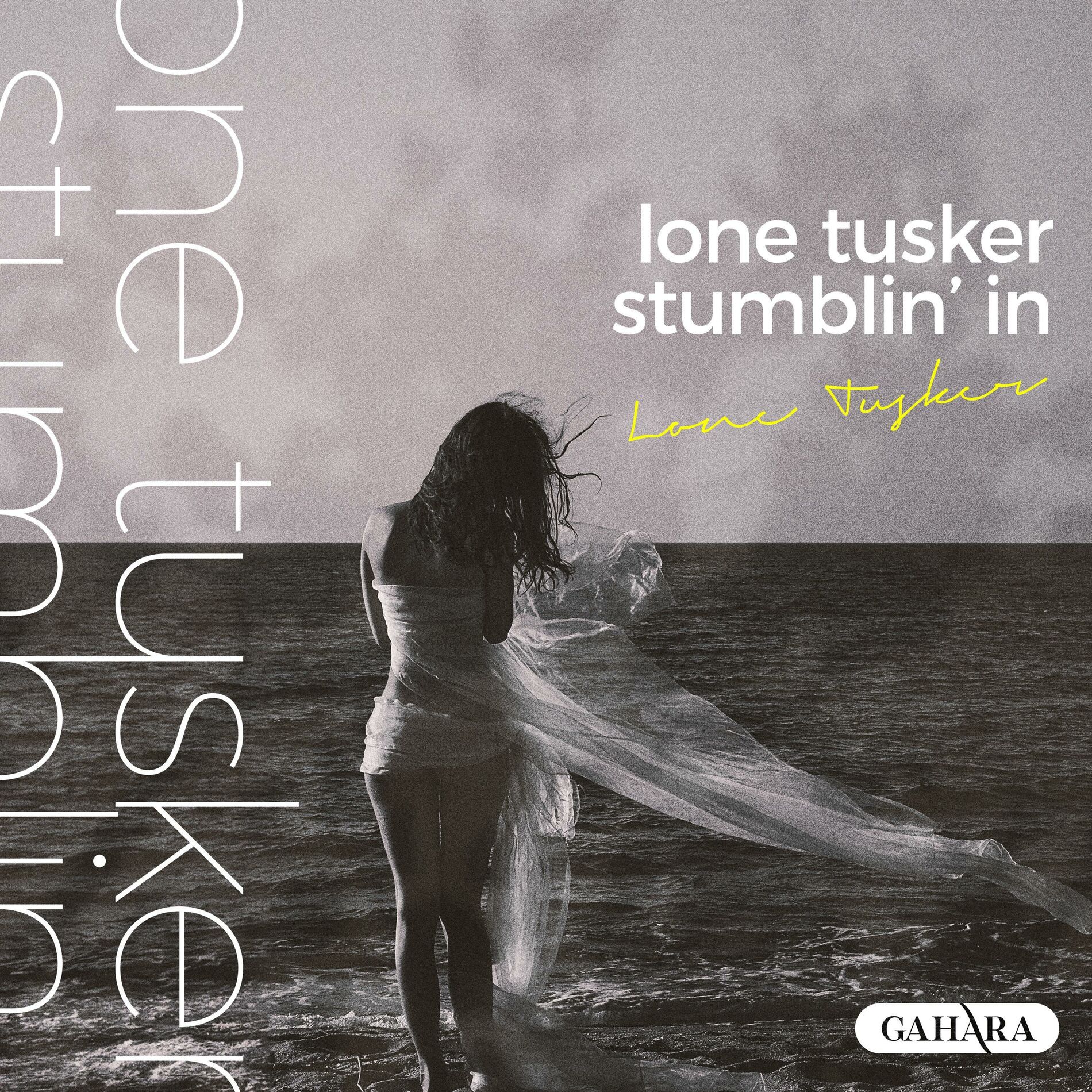 Album cover of Stumblin' In