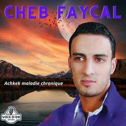 Cover of Achkek maladie chronique (Live)
