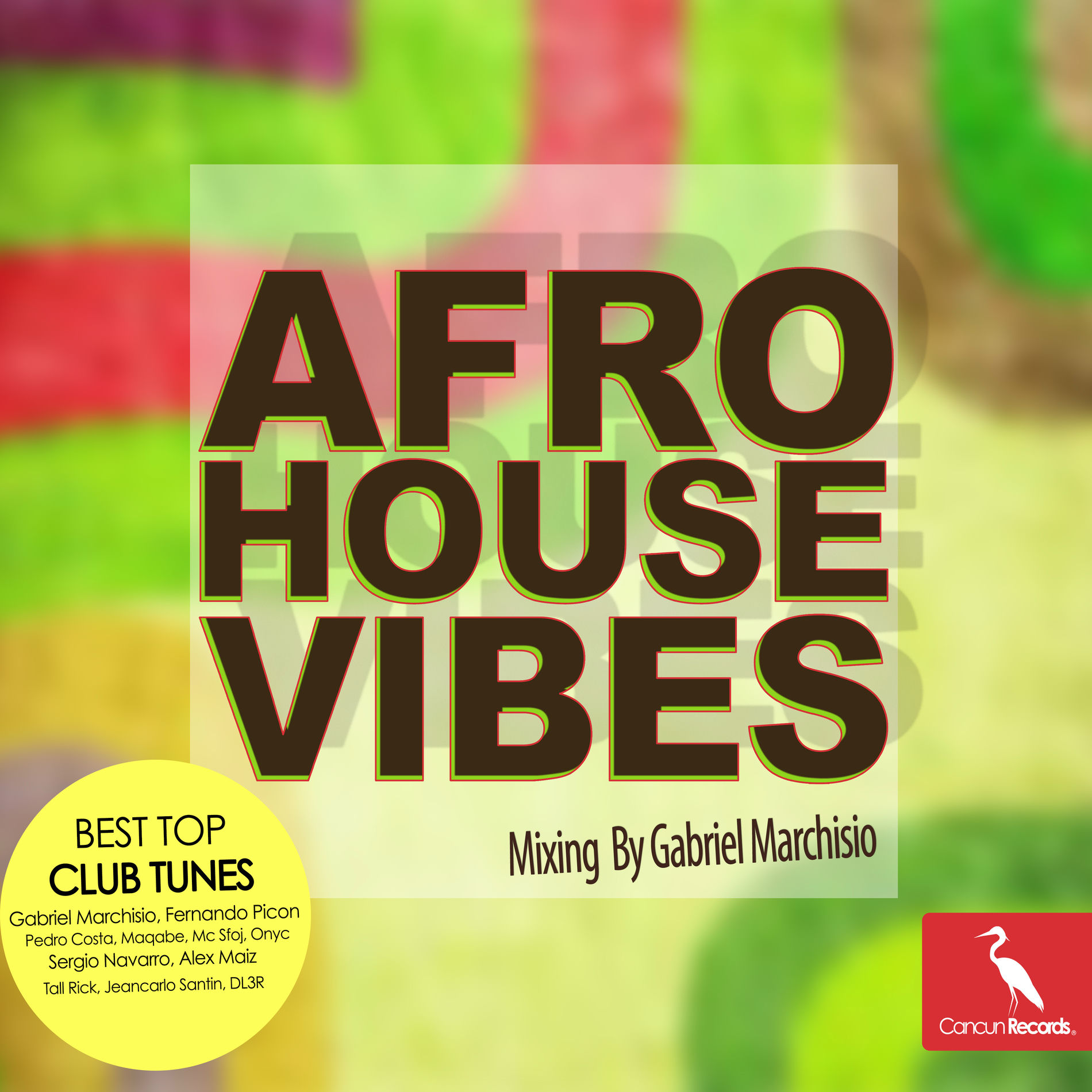 Album cover of Afro House Vibes (Mixing by Gabriel Marchisio)