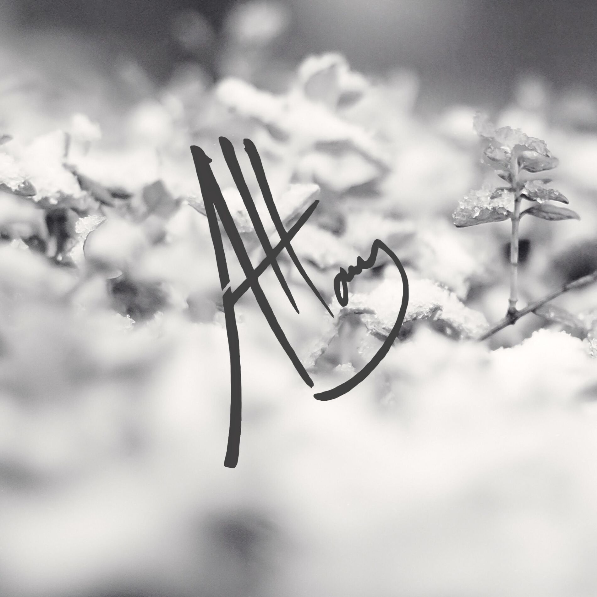 Album cover of Stay