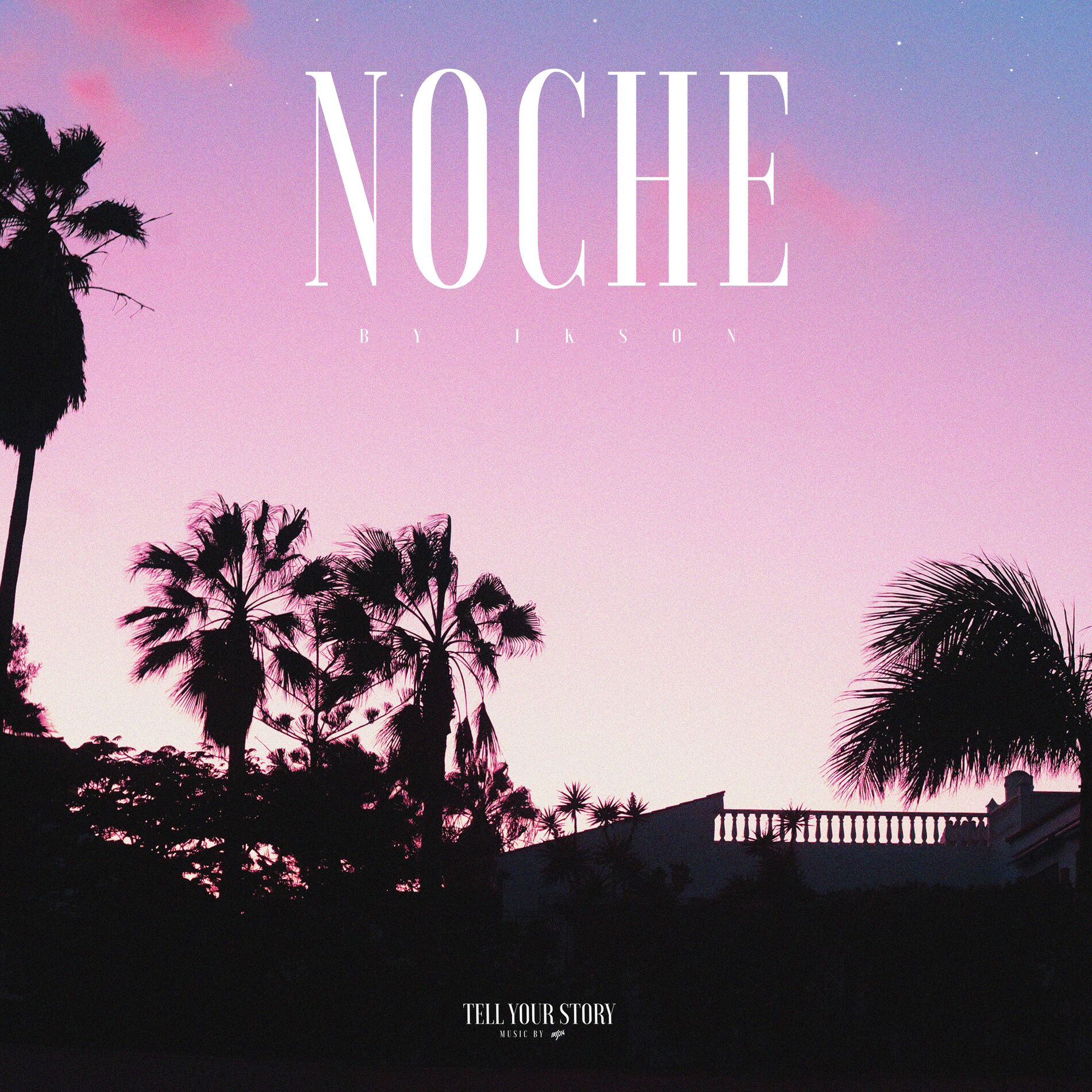 Album cover of Noche