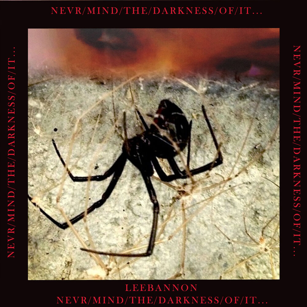 Picture of Never/Mind/The/Darkness/Of/It...