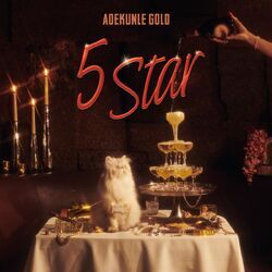 Cover of 5 Star