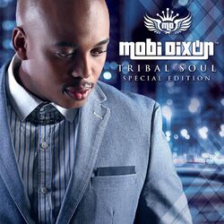 Cover of Tribal Soul (Special Edition)