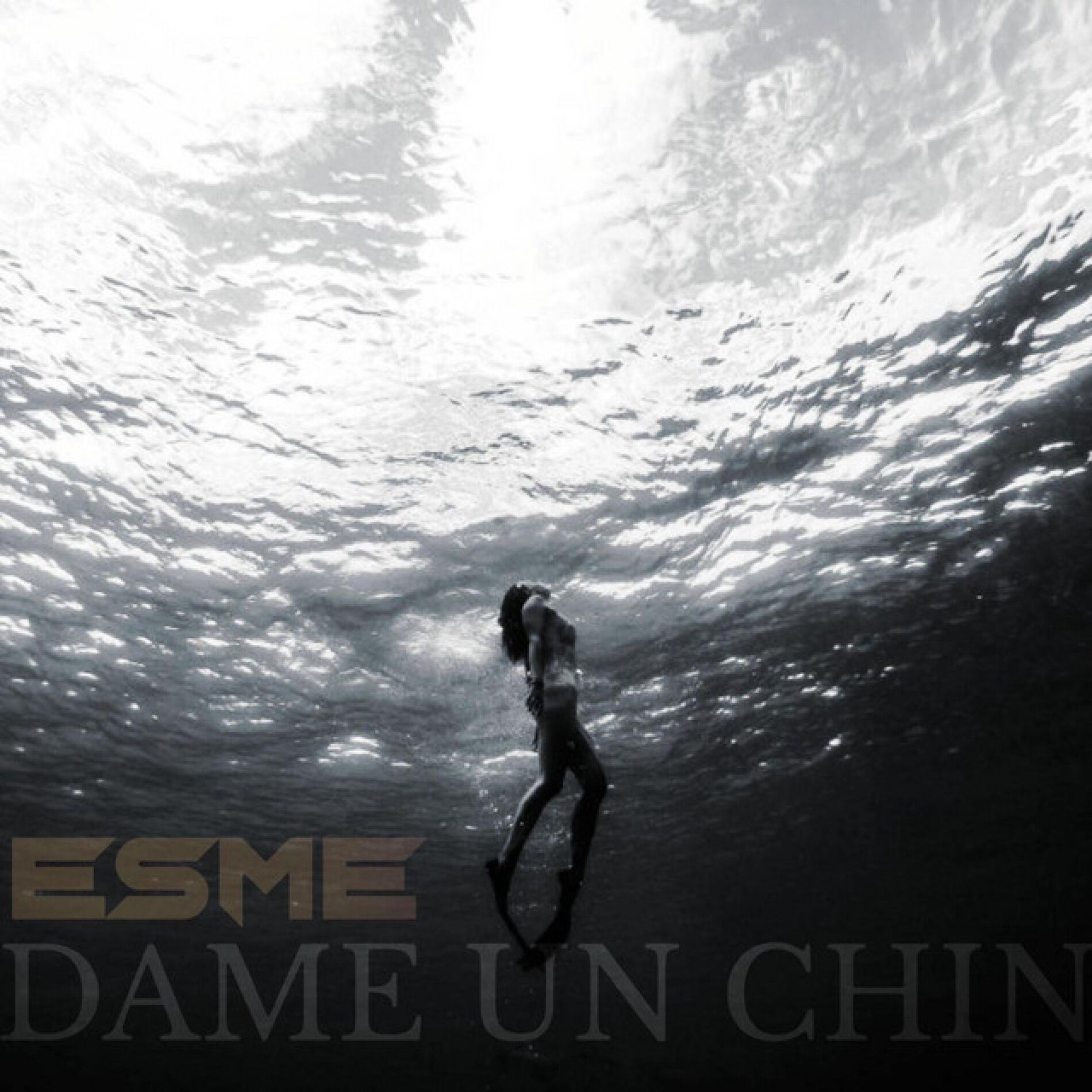 Album cover of Dame Un Chin