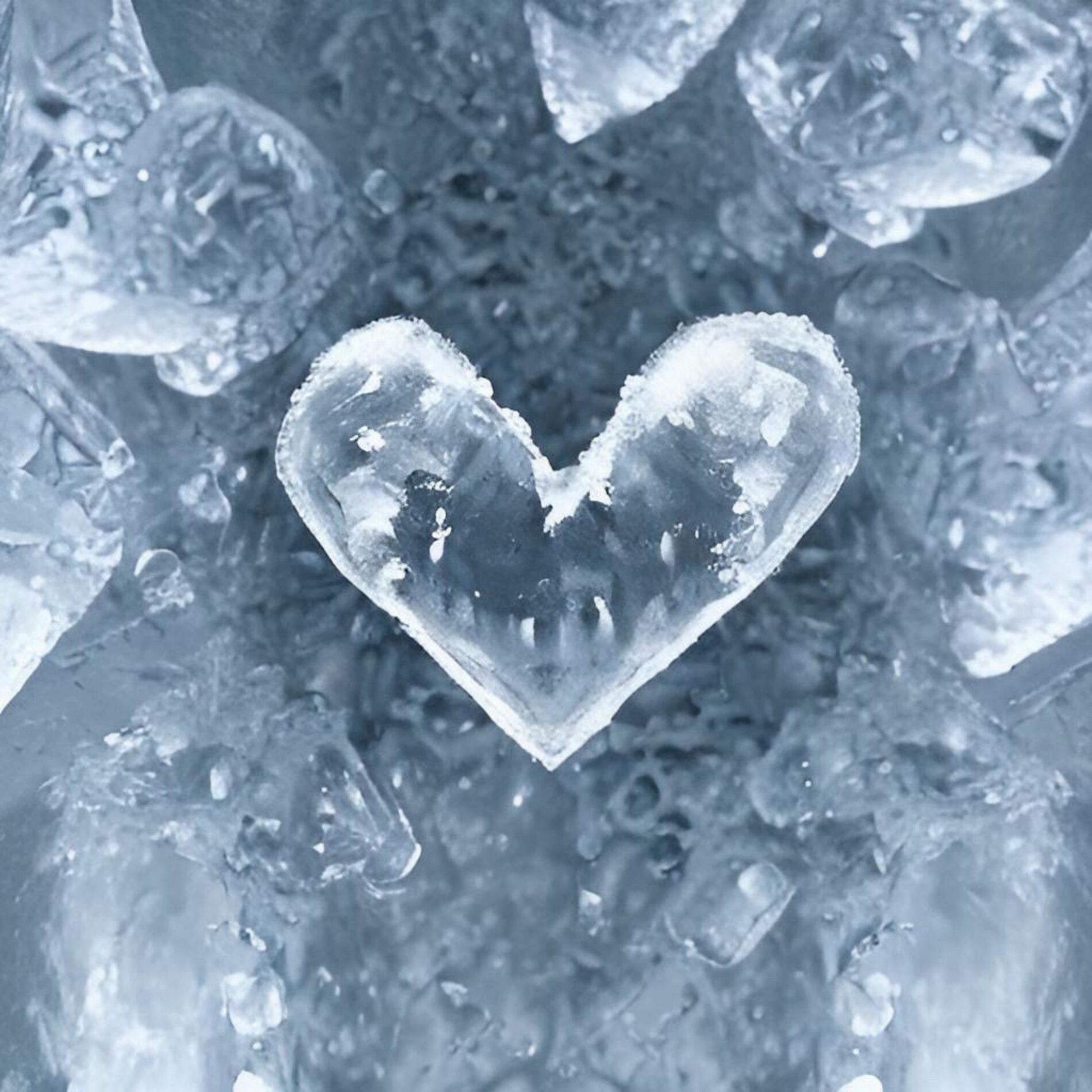 Album cover of Cold Heart (feat. Terror)