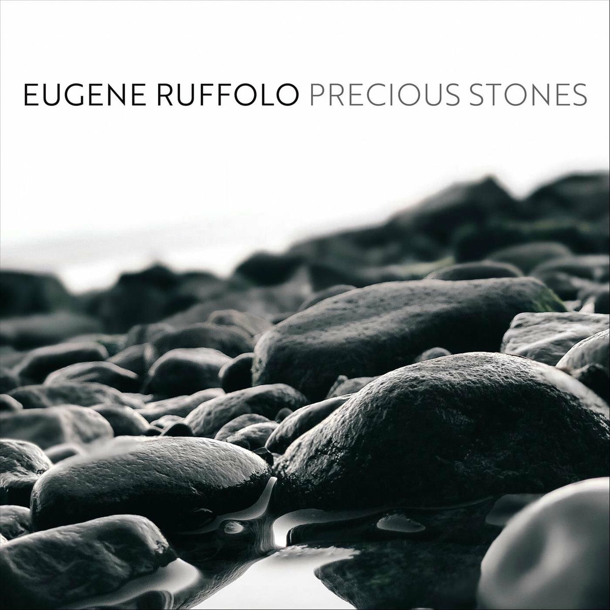 Album cover of Precious Stones