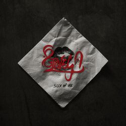 Cover of Silly of Me