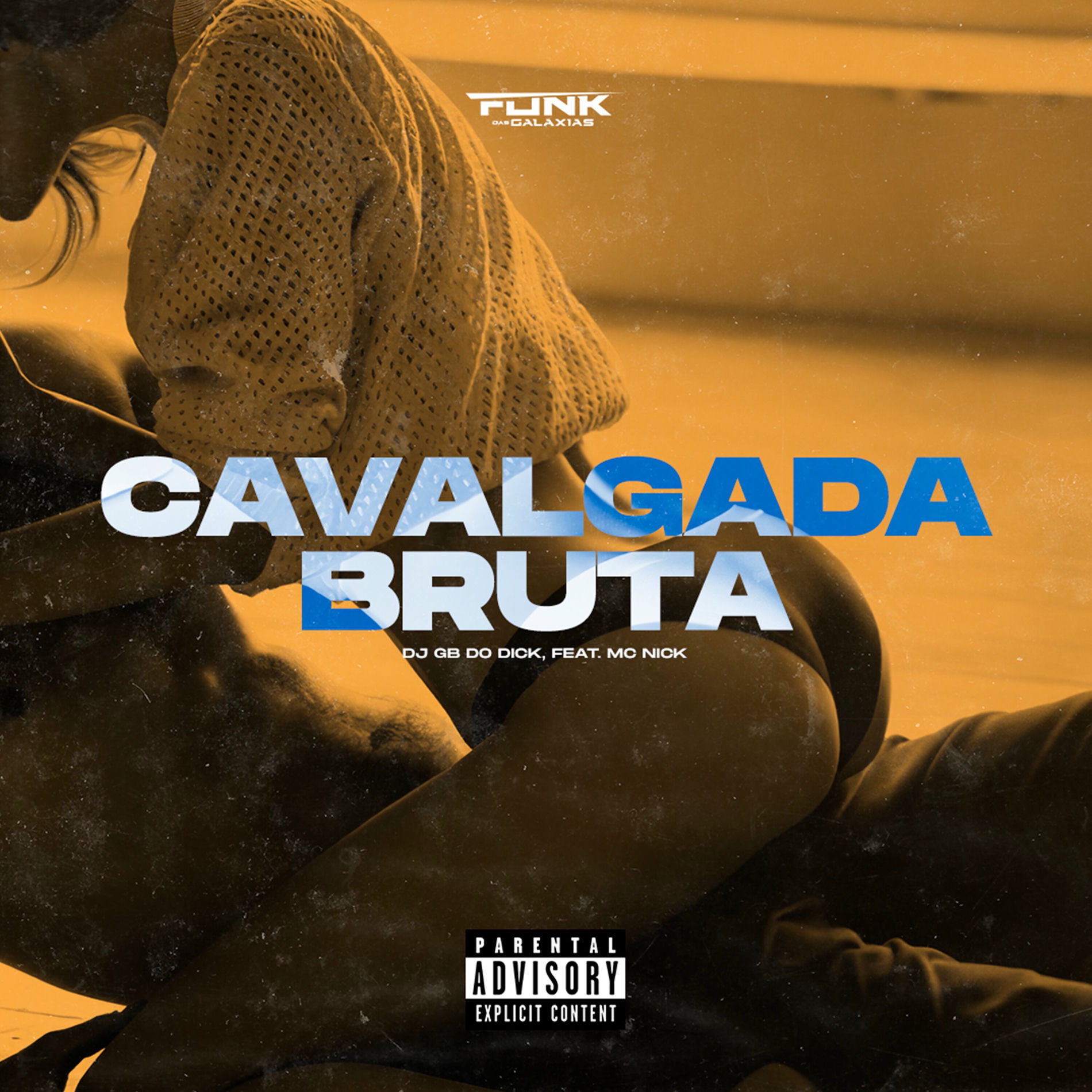 Album cover of Cavalgada Bruta
