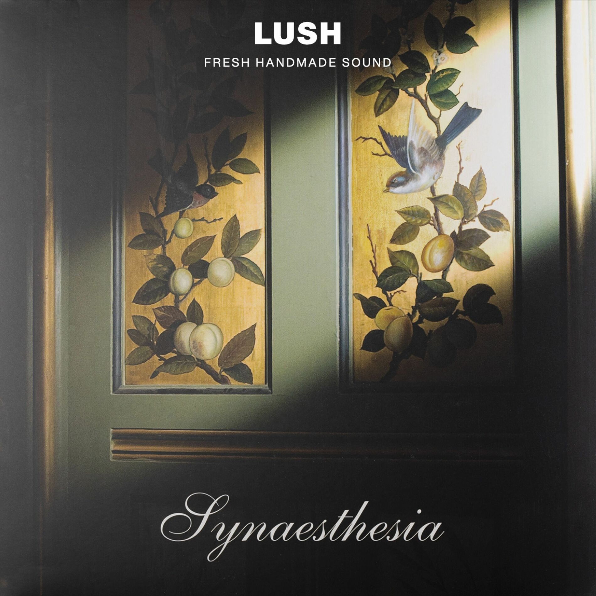Album cover of Synaesthesia