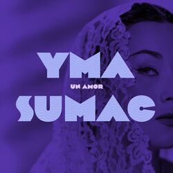 Cover of Un Amor