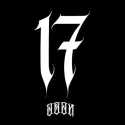 Cover of 17