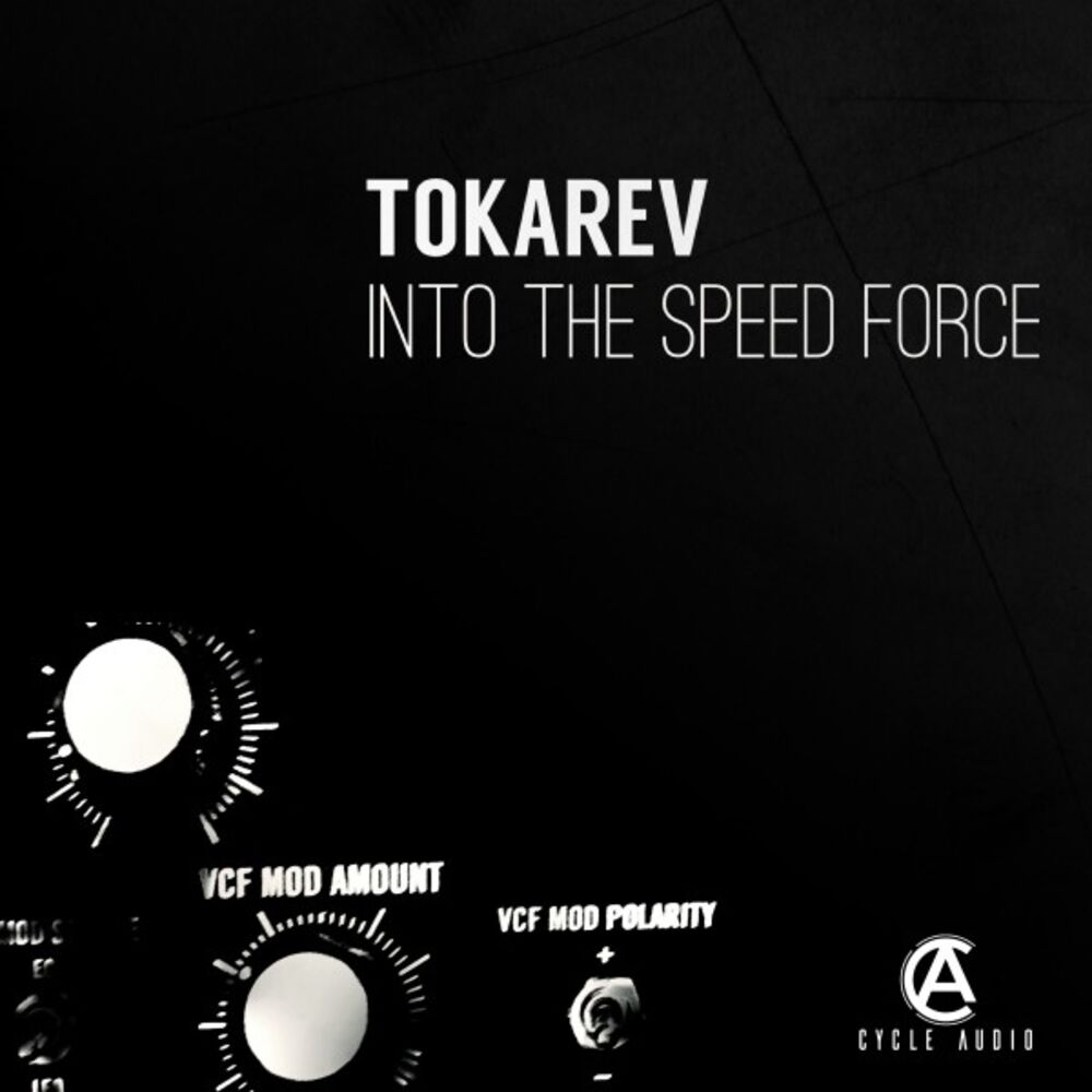 Picture of Into the Speed Force
