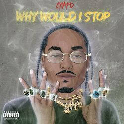 Cover of Why Would I Stop
