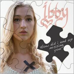 Cover of How Did I End up Missing You