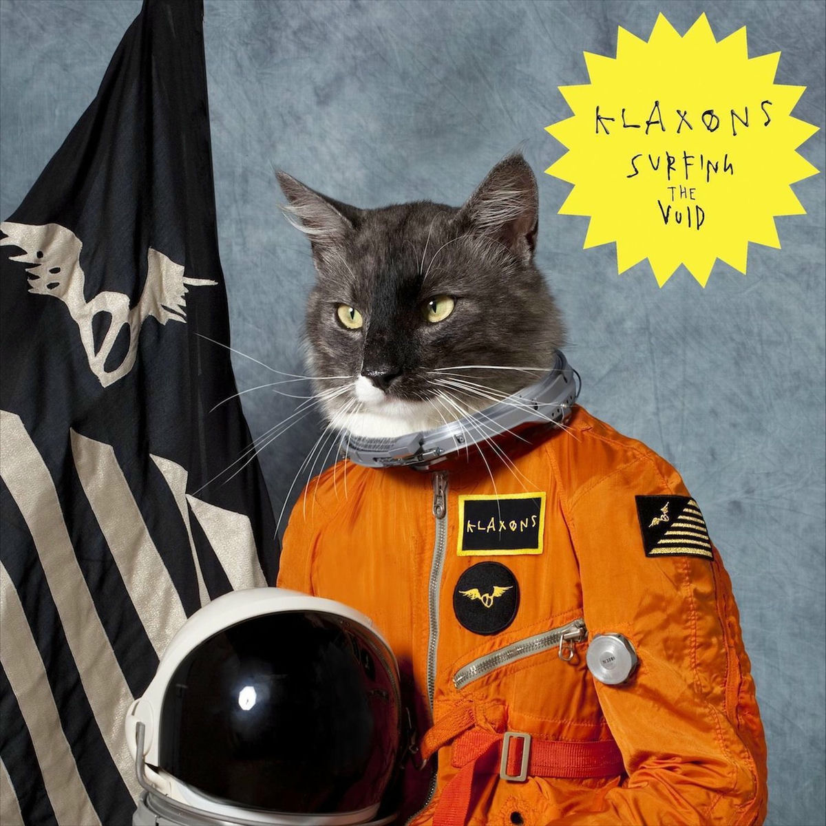 Album cover of Surfing the Void