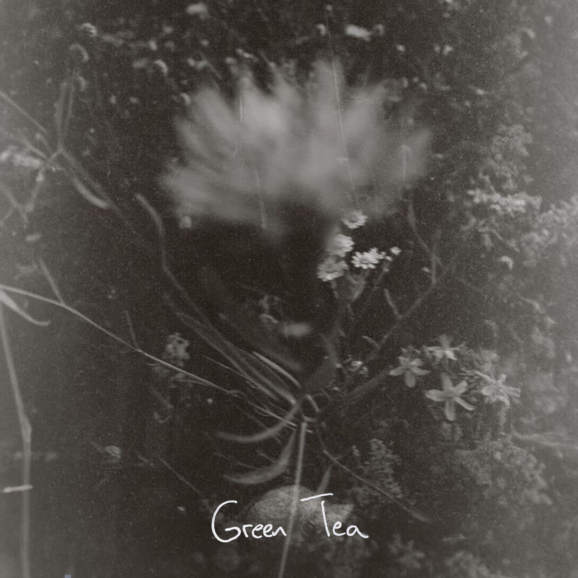 Album cover of Green Tea