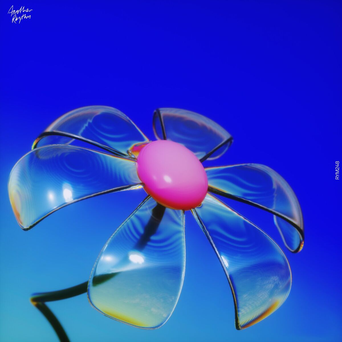 Album cover of Say