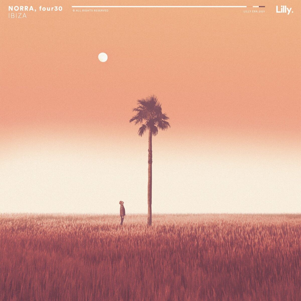 Album cover of Ibiza