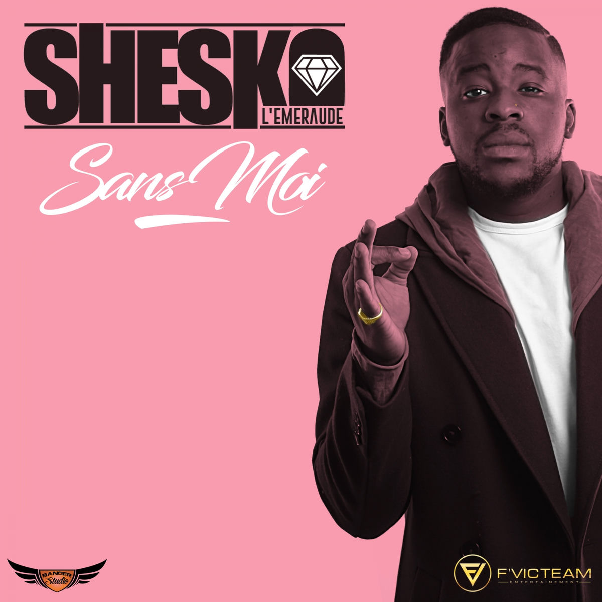 Album cover of Sans moi
