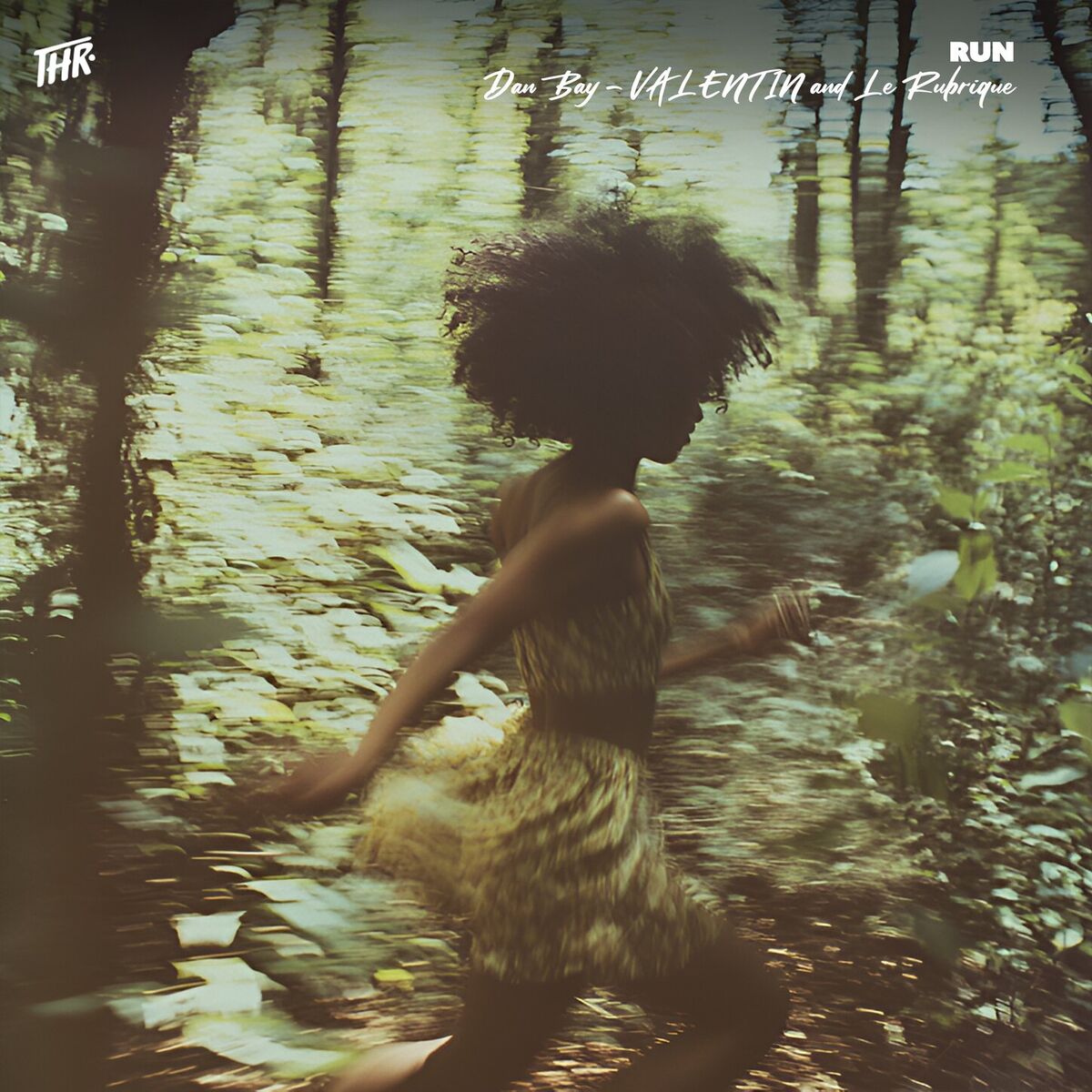 Album cover of Run