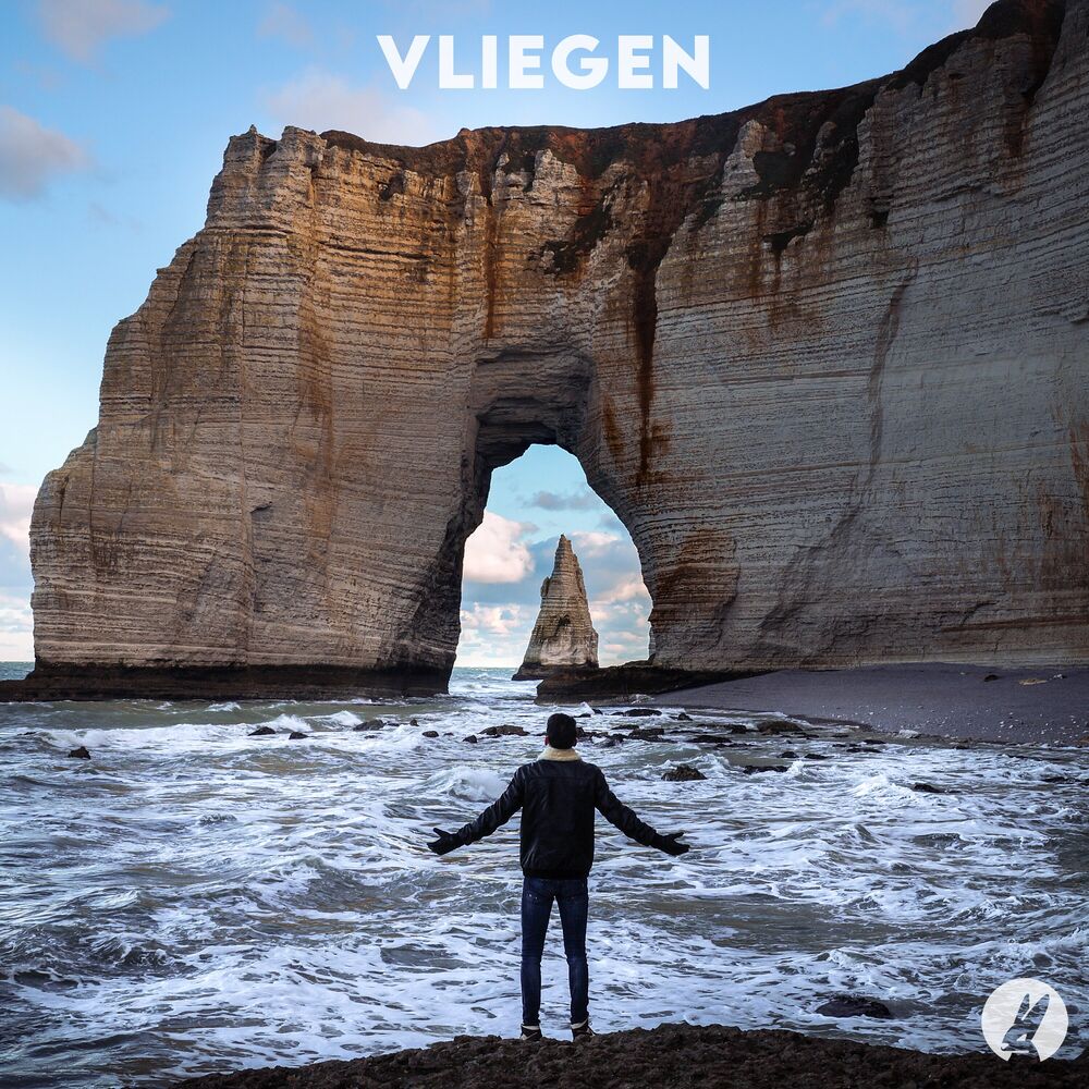 Picture of Vliegen