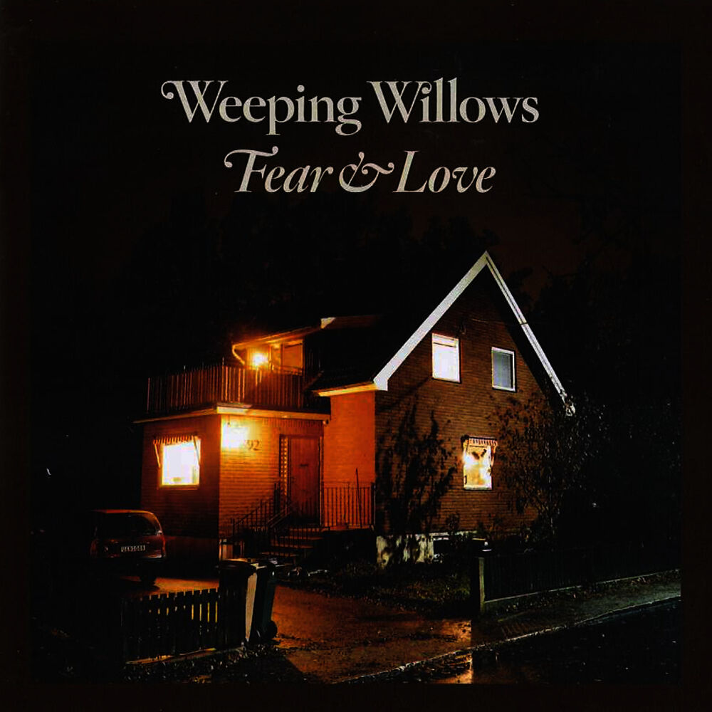 Picture of Fear & Love