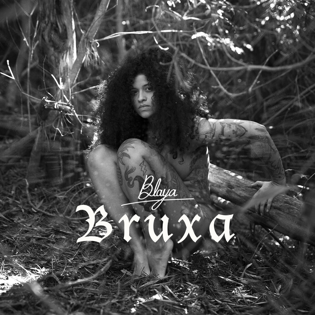 Album cover of Bruxa