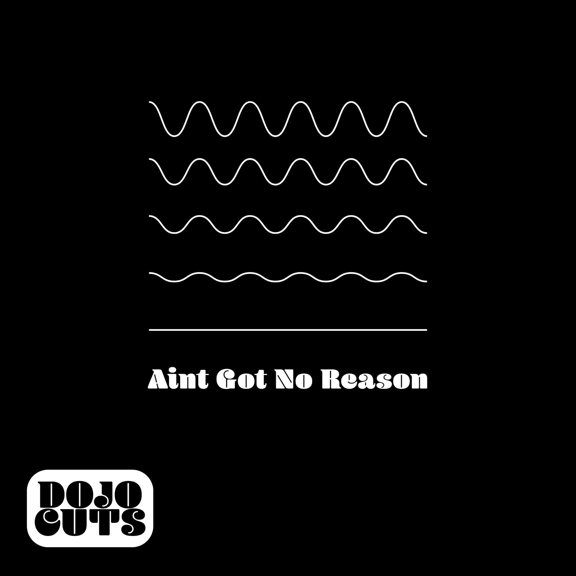 Album cover of Ain't Got No Reason