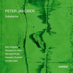Cover of Peter Jakober: Substantie