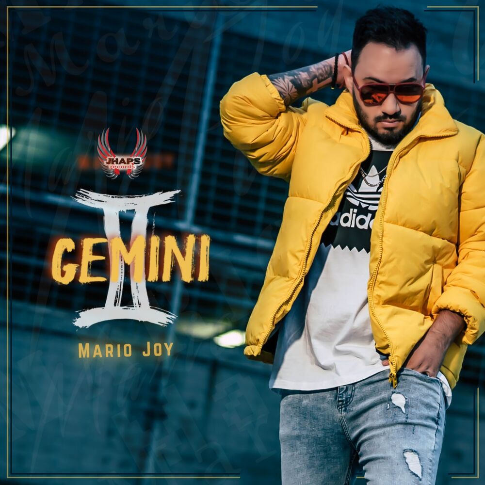 Picture of Gemini